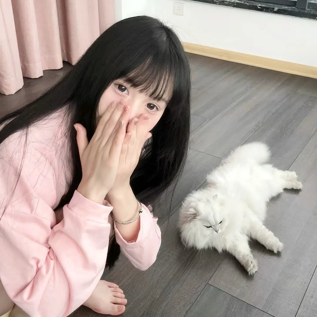 女王鲨在线观看封面