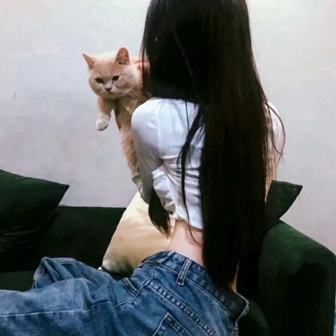 激情摇滚在线观看封面